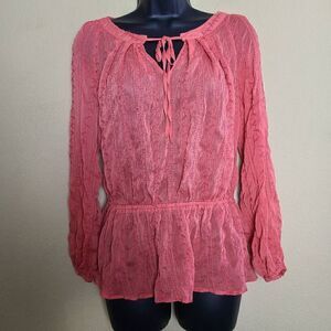Bellatrix Sheer Embroidered Blouse  